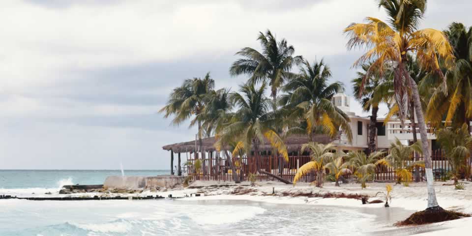 Bônus