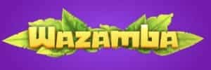 Blaze download